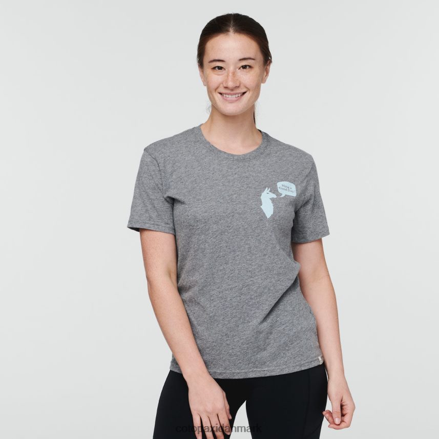 Cotopaxi hav en god dag t-shirt Kvinder tøj gråmeleret 8FJ28H68